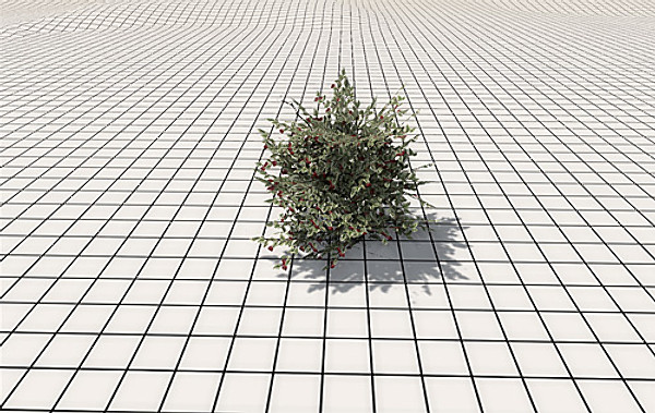afghan vegetation 24 tree 3d max - 24 Afghan Vegetation Models by pure3dviz